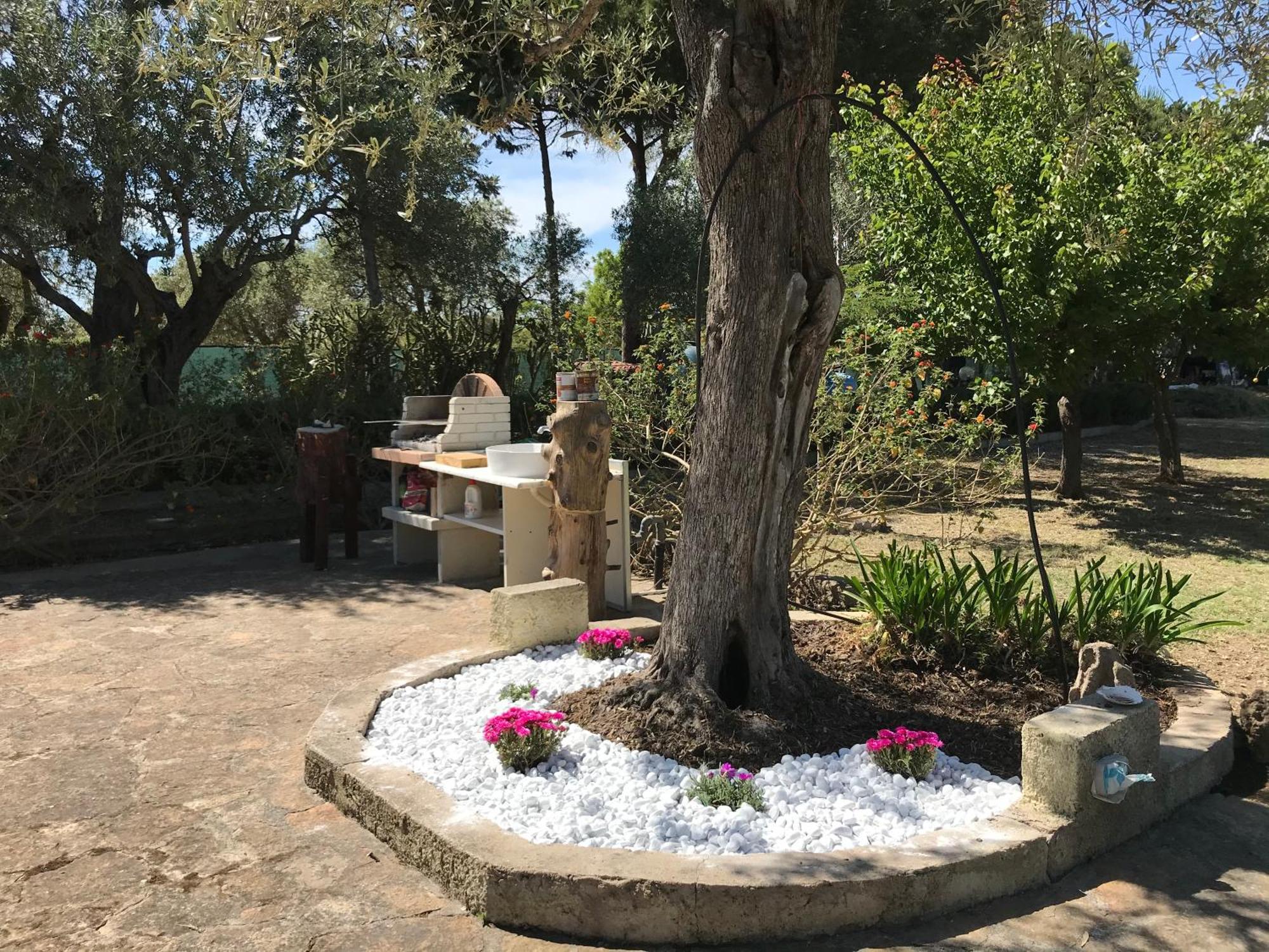 Butterfly House Bed & Breakfast Alghero Dış mekan fotoğraf