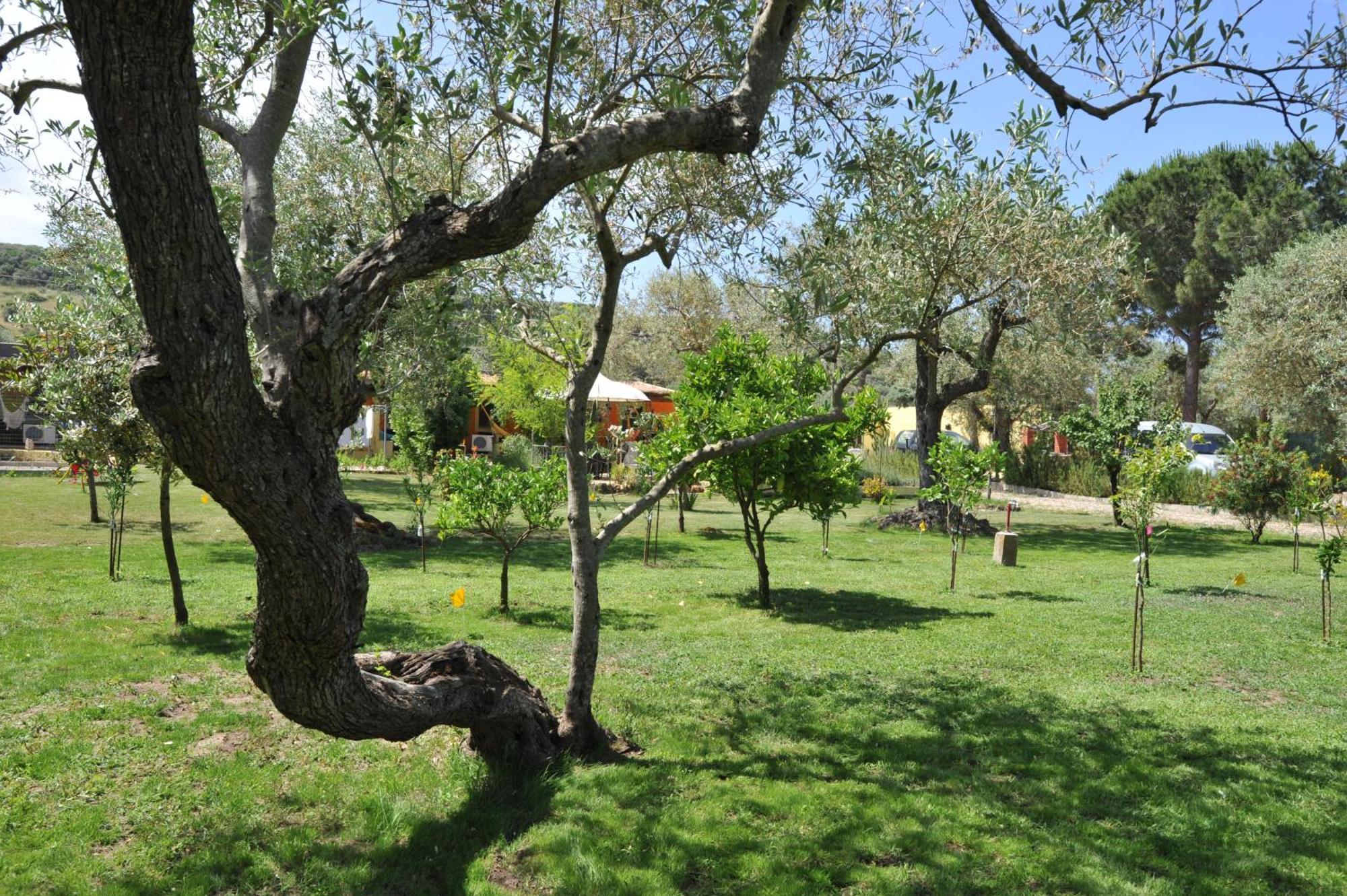 Butterfly House Bed & Breakfast Alghero Dış mekan fotoğraf