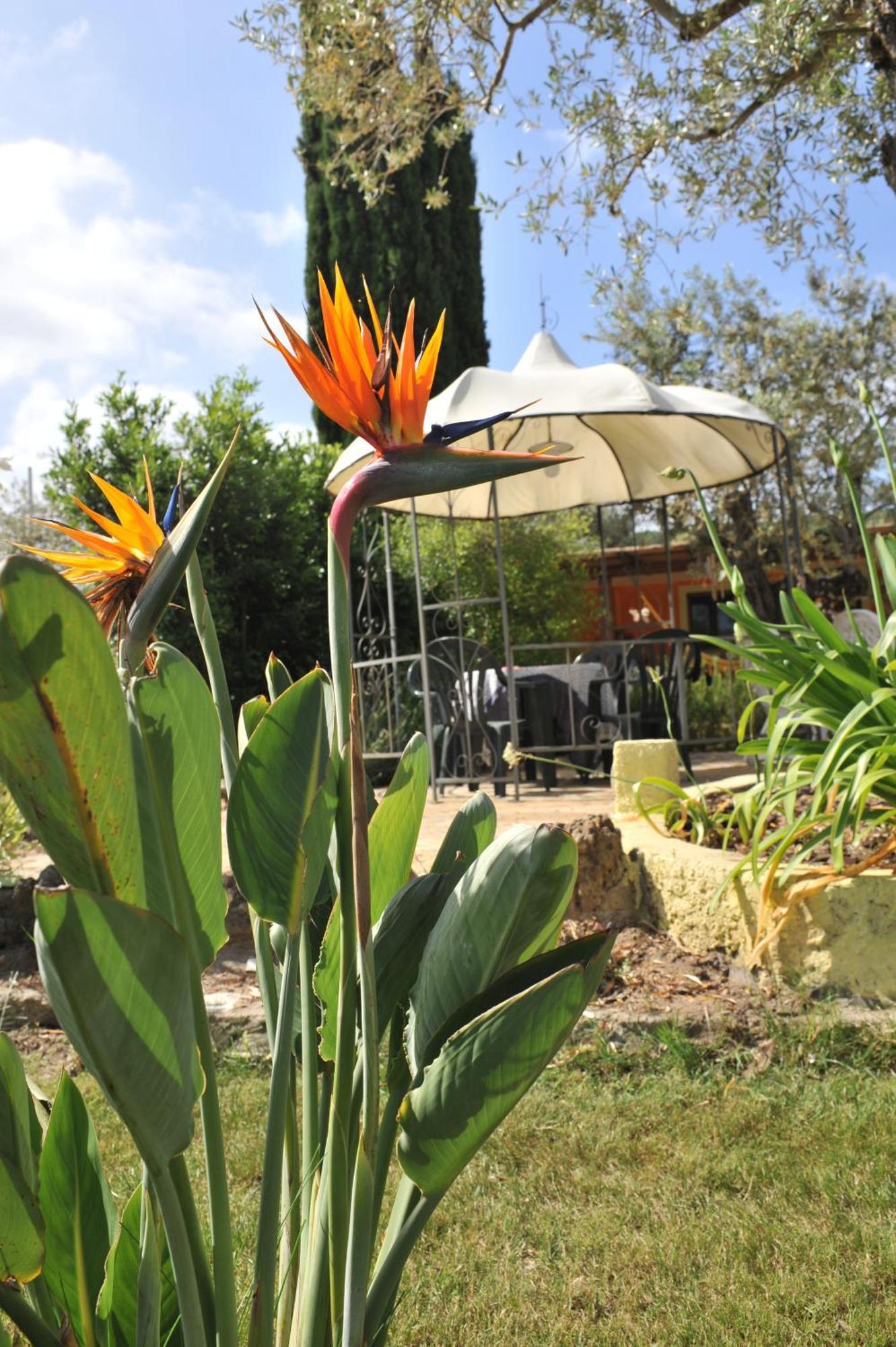 Butterfly House Bed & Breakfast Alghero Dış mekan fotoğraf